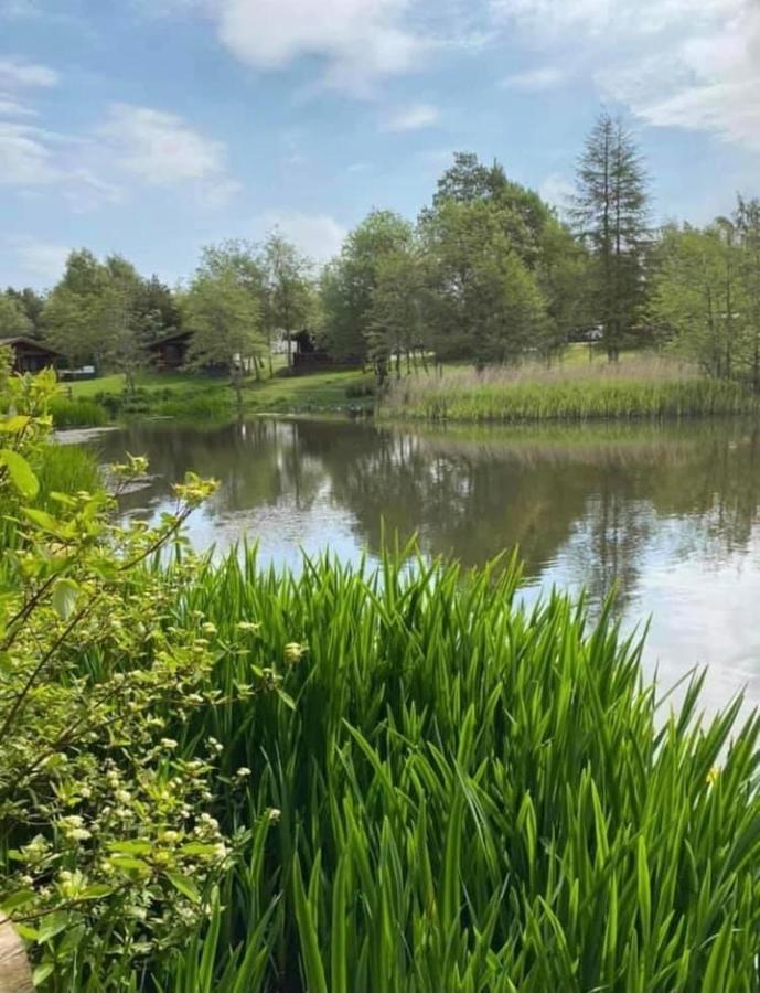 Sunny Daze Villa Morpeth Exterior foto